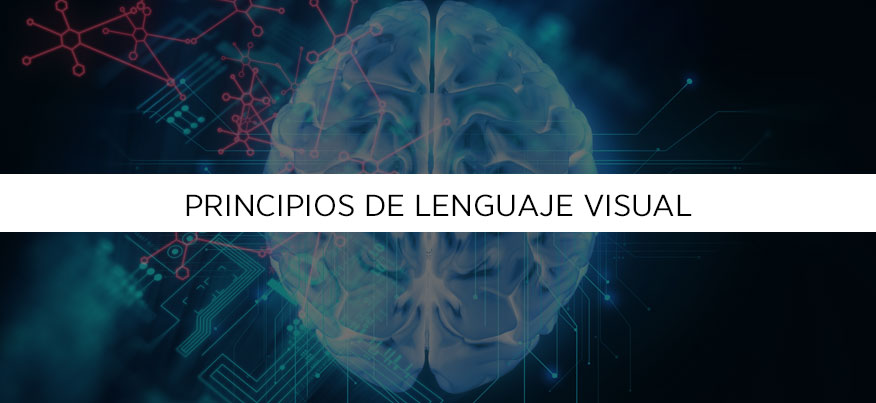 Principios de lenguaje visual que tu cerebro entiende.